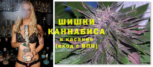 дмт Арсеньев