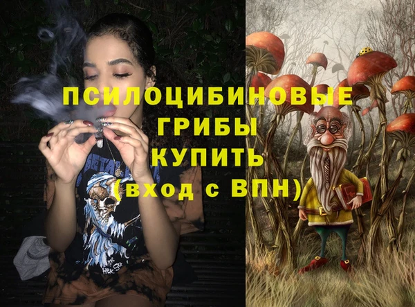 прущий лед Аркадак
