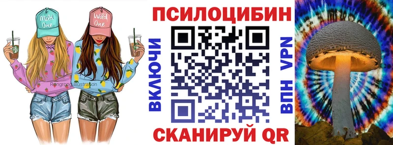 Галлюциногенные грибы Magic Shrooms  МЕГА ССЫЛКА  Кологрив  хочу наркоту 